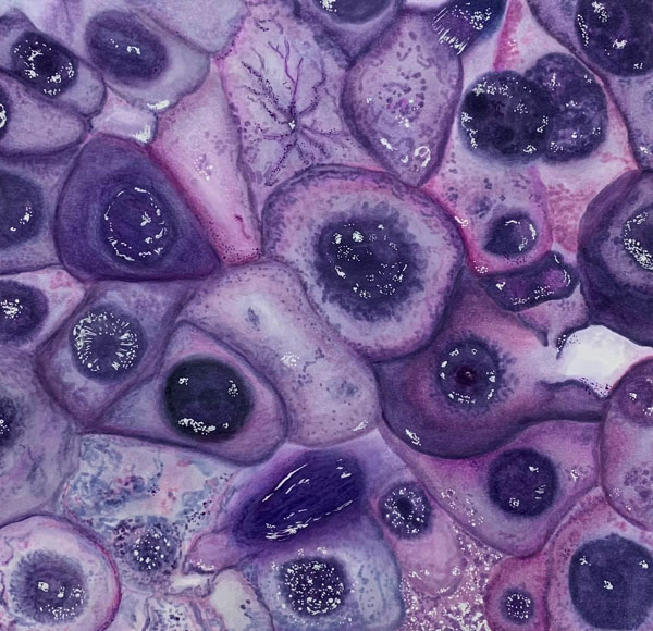marker and colored pencil drawing of skin cells that I made for my AP Art Portfolio
